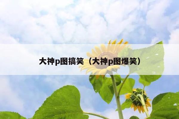 大神p图搞笑(大神p图爆笑)