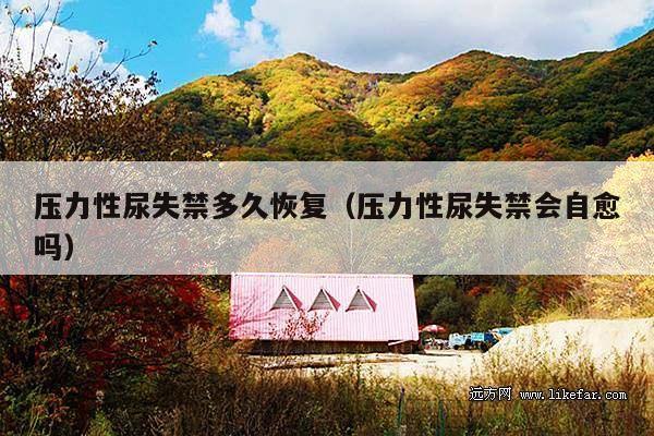 压力性尿失禁多久恢复(压力性尿失禁会自愈吗)