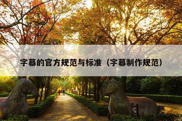 字幕的官方规范与标准(字幕制作规范)