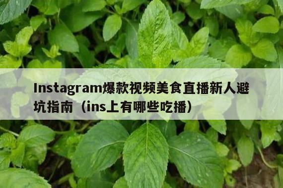 Instagram爆款视频美食直播新人避坑指南(ins上有哪些吃播)