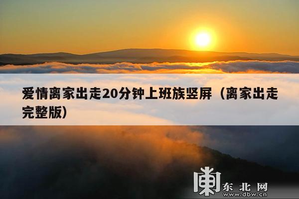 爱情离家出走20分钟上班族竖屏(离家出走完整版)