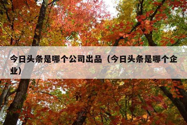 今日头条是哪个公司出品(今日头条是哪个企业)