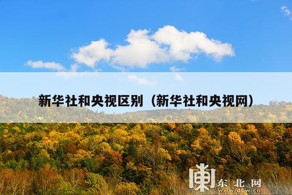 新华社和央视区别(新华社和央视网)