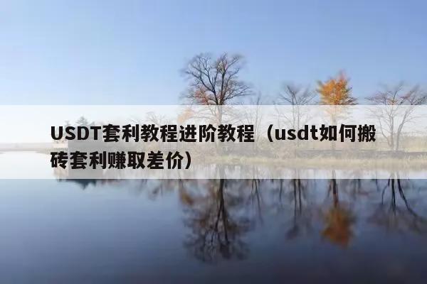 USDT套利教程进阶教程(usdt如何搬砖套利赚取差价)