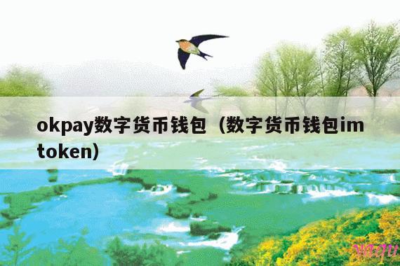 okpay数字货币钱包(数字货币钱包imtoken)