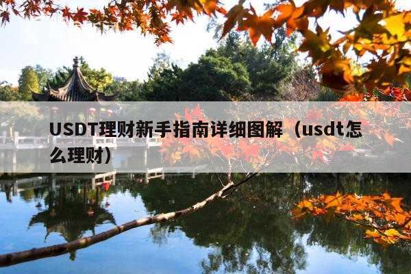 USDT理财新手指南详细图解(usdt怎么理财)
