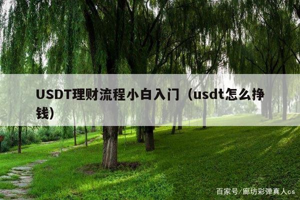 USDT理财流程小白入门(usdt怎么挣钱)