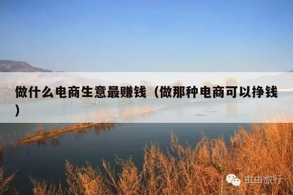 做什么电商生意最赚钱(做那种电商可以挣钱)