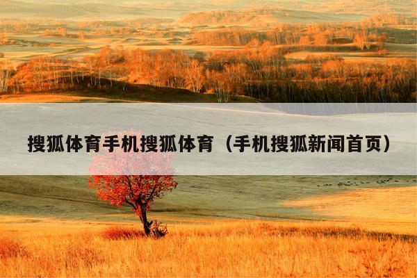 搜狐体育手机搜狐体育(手机搜狐新闻首页)