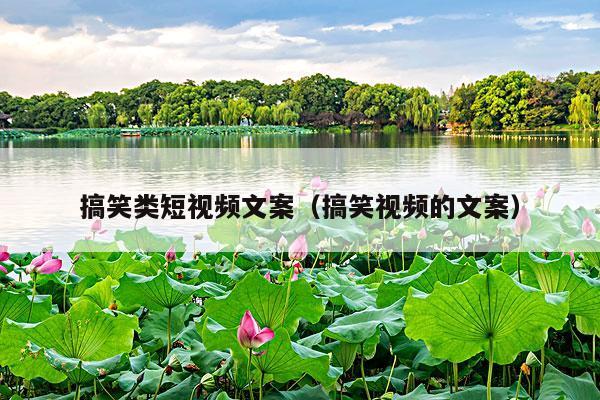 搞笑类短视频文案(搞笑视频的文案)