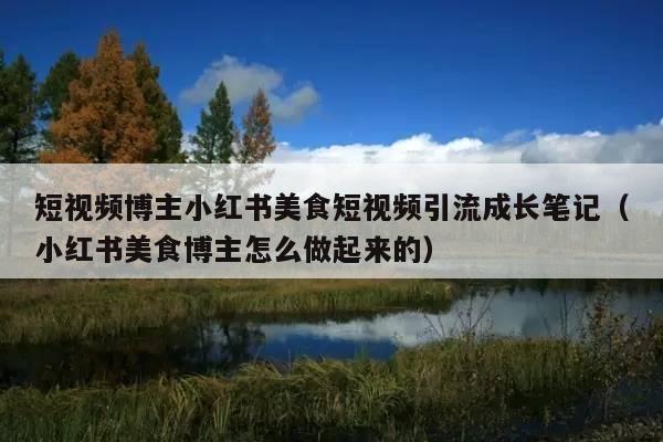 短视频博主小红书美食短视频引流成长笔记(小红书美食博主怎么做起来的)