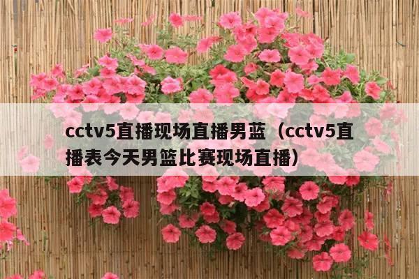 cctv5直播现场直播男蓝(cctv5直播表今天男篮比赛现场直播)