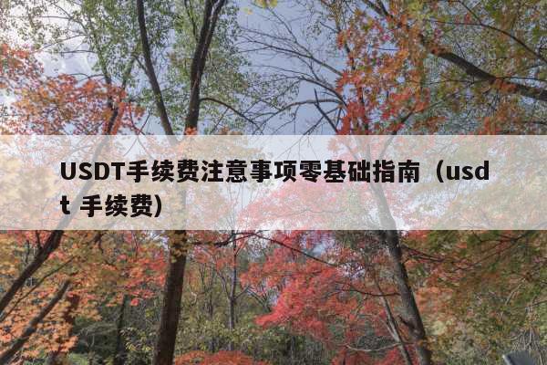 USDT手续费注意事项零基础指南(usdt 手续费)
