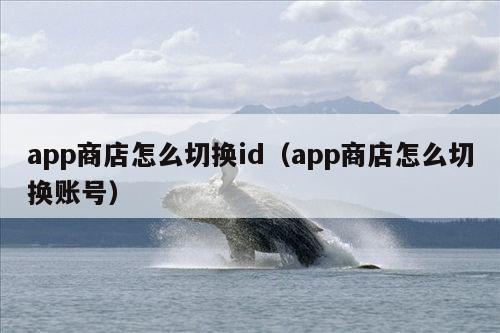 app商店怎么切换id(app商店怎么切换账号)