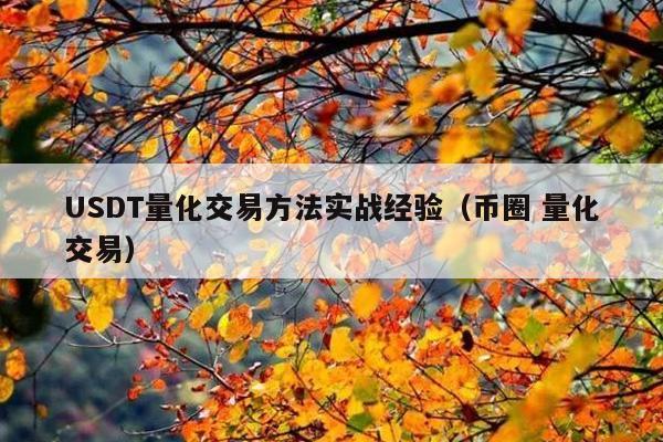 USDT量化交易方法实战经验(币圈 量化交易)