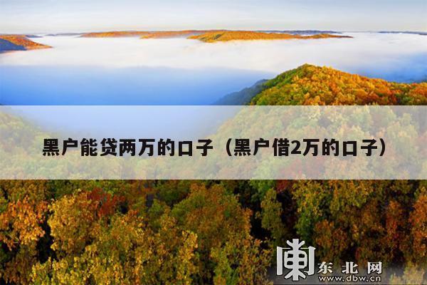 黑户能贷两万的口子(黑户借2万的口子)