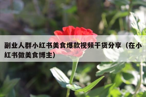副业人群小红书美食爆款视频干货分享(在小红书做美食博主)