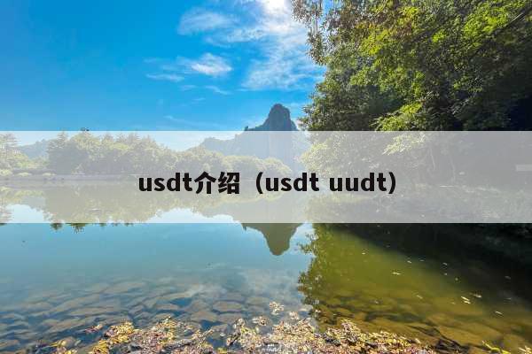 usdt介绍(usdt uudt)