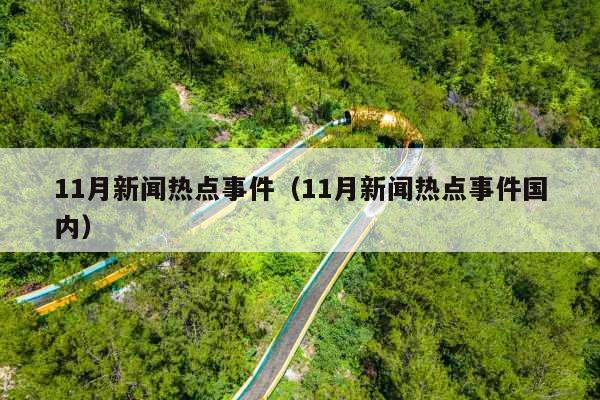 11月新闻热点事件(11月新闻热点事件国内)