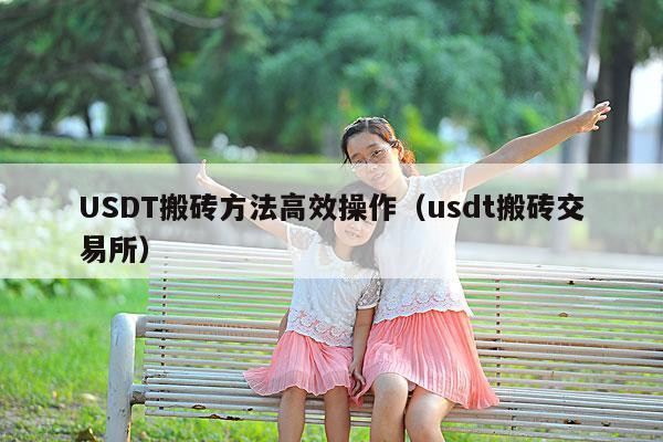 USDT搬砖方法高效操作(usdt搬砖交易所)