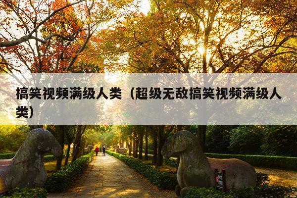 搞笑视频满级人类(超级无敌搞笑视频满级人类)