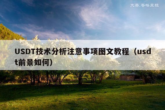 USDT技术分析注意事项图文教程(usdt前景如何)