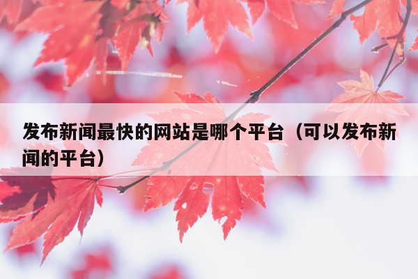 发布新闻最快的网站是哪个平台(可以发布新闻的平台)