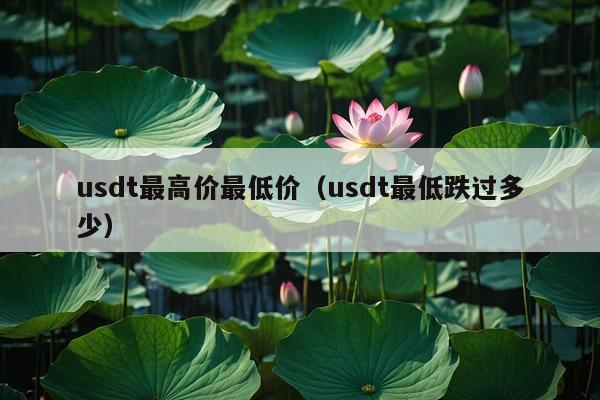 usdt最高价最低价(usdt最低跌过多少)
