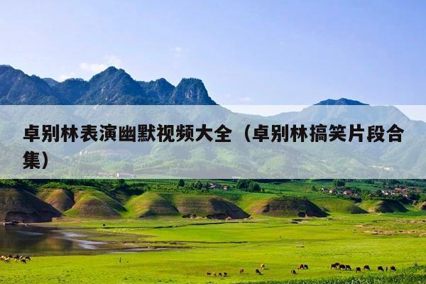 卓别林表演幽默视频大全(卓别林搞笑片段合集)