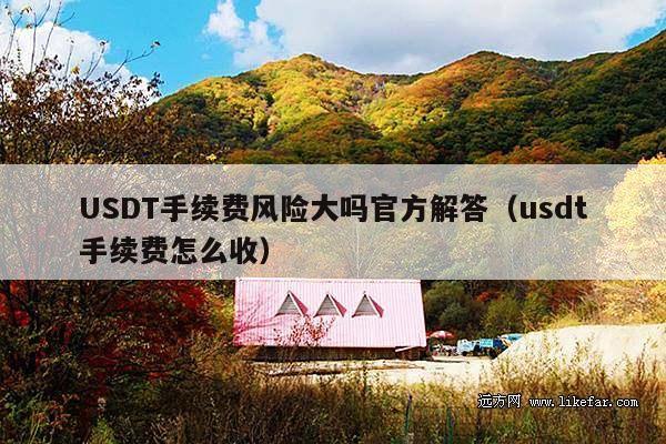 USDT手续费风险大吗官方解答(usdt手续费怎么收)