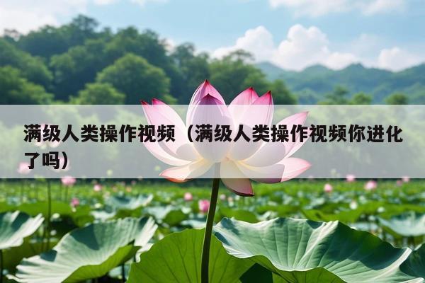 满级人类操作视频(满级人类操作视频你进化了吗)