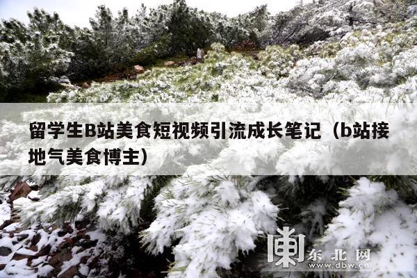 留学生B站美食短视频引流成长笔记(b站接地气美食博主)