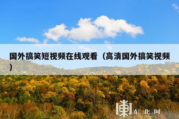 国外搞笑短视频在线观看(高清国外搞笑视频)