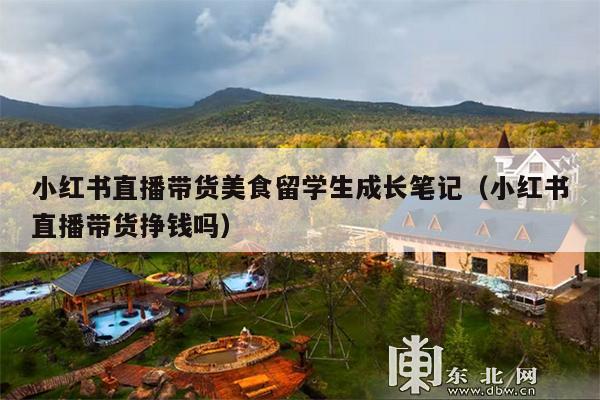 小红书直播带货美食留学生成长笔记(小红书直播带货挣钱吗)