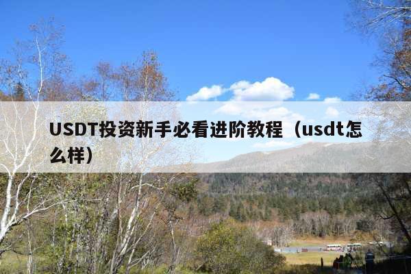 USDT投资新手必看进阶教程(usdt怎么样)