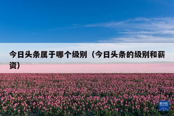 今日头条属于哪个级别(今日头条的级别和薪资)