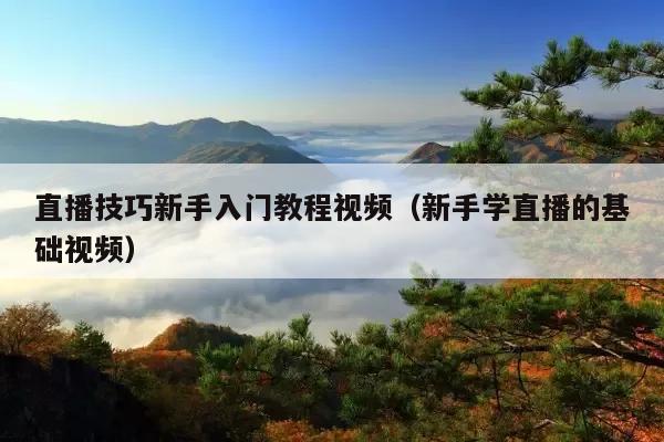 直播技巧新手入门教程视频(新手学直播的基础视频)