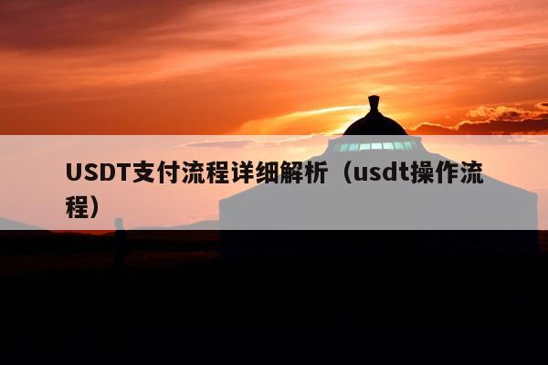USDT支付流程详细解析(usdt操作流程)