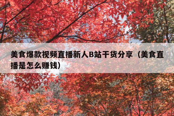 美食爆款视频直播新人B站干货分享(美食直播是怎么赚钱)