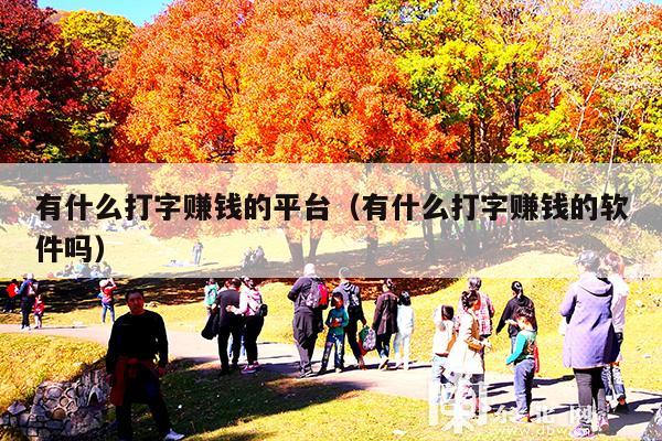 有什么打字赚钱的平台(有什么打字赚钱的软件吗)