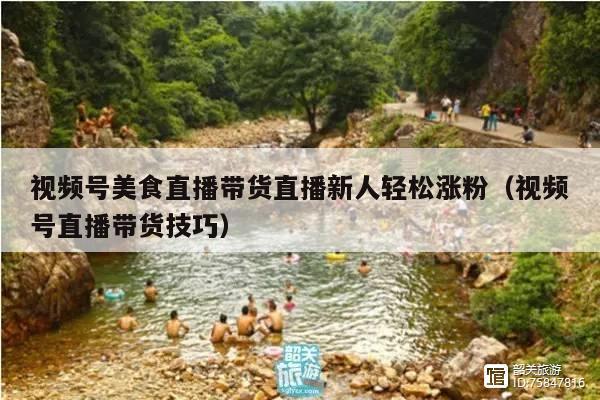视频号美食直播带货直播新人轻松涨粉(视频号直播带货技巧)