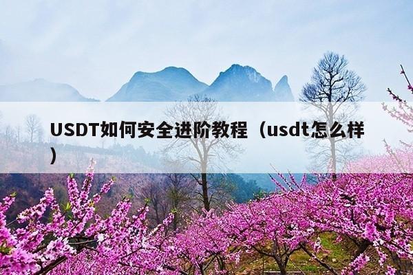 USDT如何安全进阶教程(usdt怎么样)