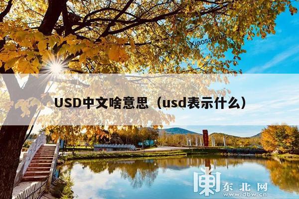 USD中文啥意思(usd表示什么)