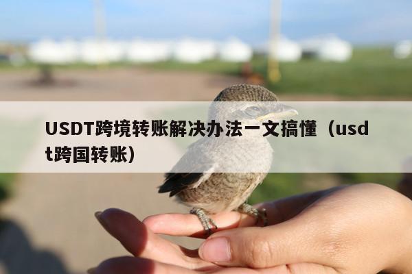 USDT跨境转账解决办法一文搞懂(usdt跨国转账)