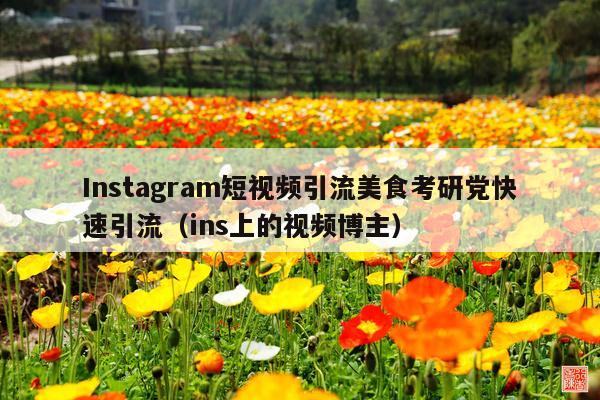 Instagram短视频引流美食考研党快速引流(ins上的视频博主)