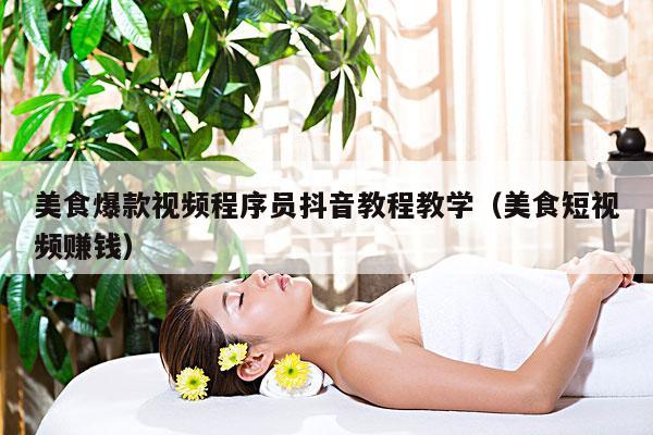 美食爆款视频程序员抖音教程教学(美食短视频赚钱)