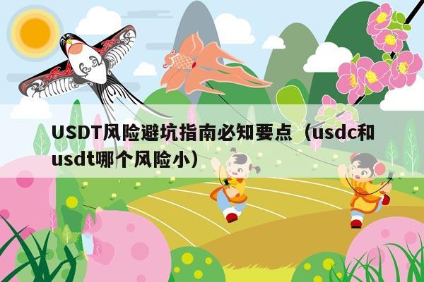 USDT风险避坑指南必知要点(usdc和usdt哪个风险小)