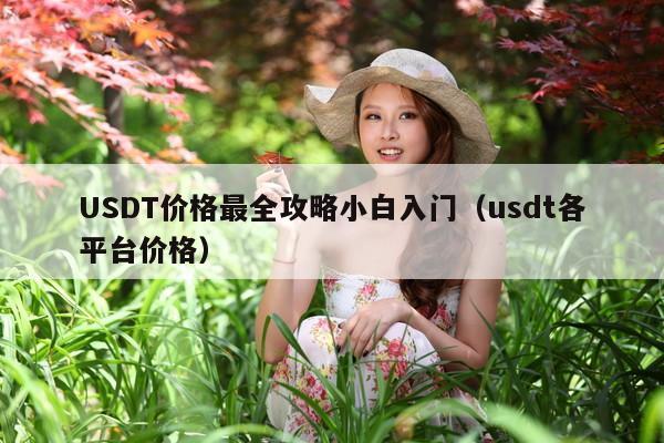 USDT价格最全攻略小白入门(usdt各平台价格)