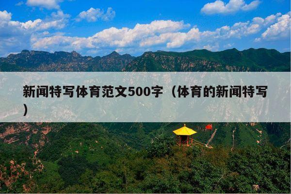 新闻特写体育范文500字(体育的新闻特写)
