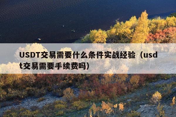 USDT交易需要什么条件实战经验(usdt交易需要手续费吗)